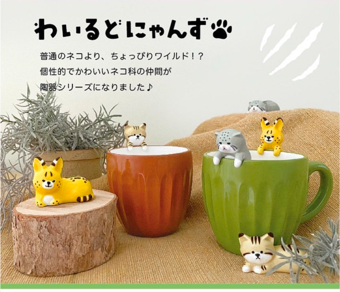 Japan Decole Kitty Mug(Gift Box)