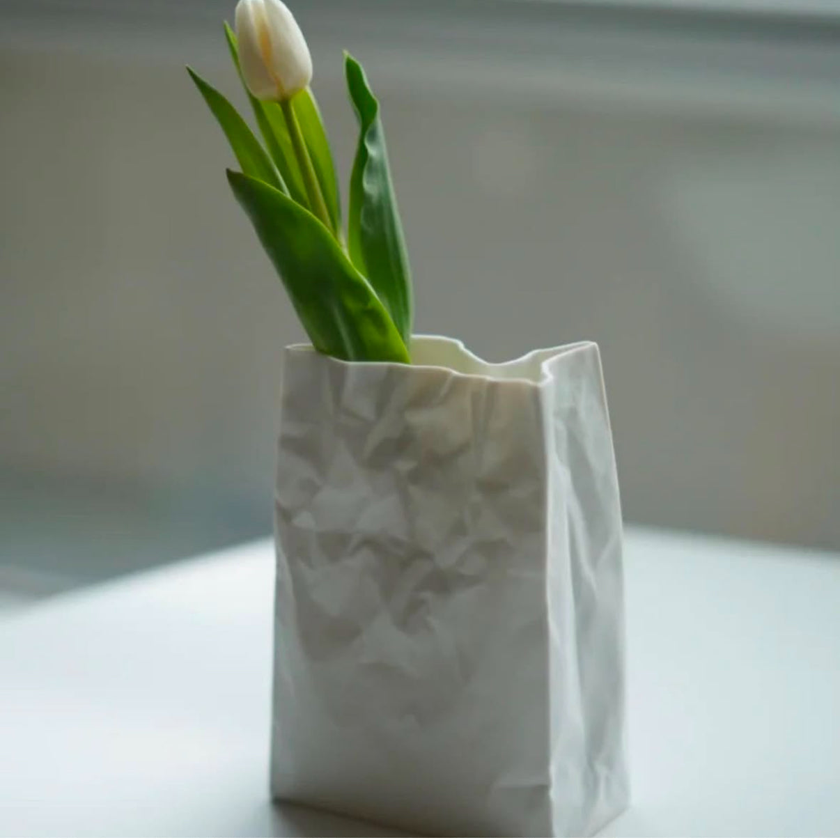 Makoto Komatsu Crinkle Vase （Gift Box） 小松 誠褶皱系列