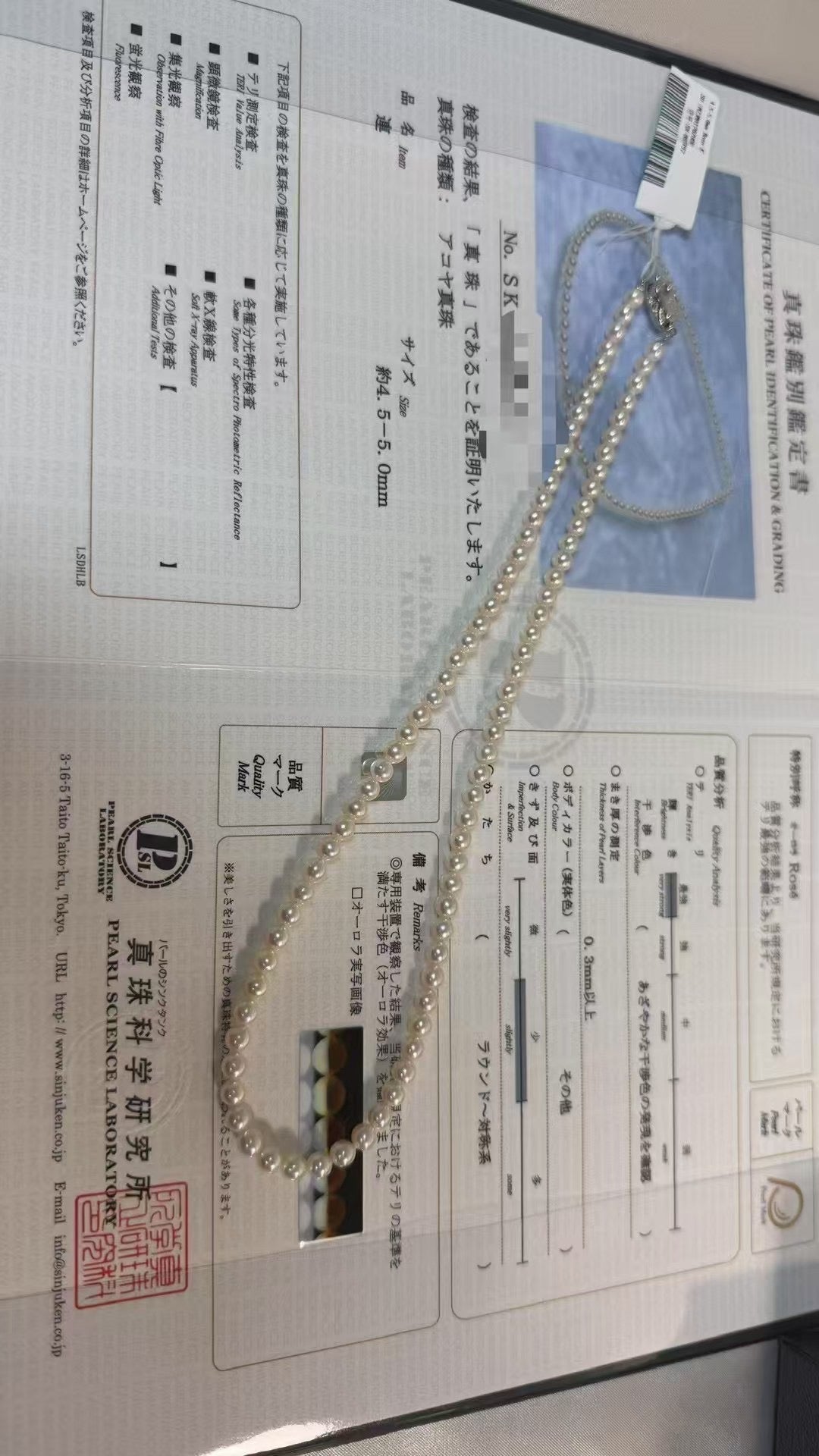 Akoya  Rose 大证书小米珠 4.5-5mm